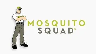 Creating A Mosquito Free Yard In League City Texas