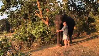 Mark Shand, Elephant Family's tribute
