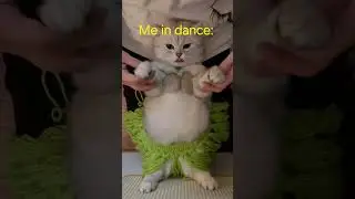 Watch until the end... #kpop #dance #meme