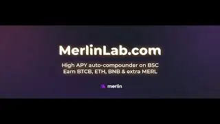 Merlin Lab Project