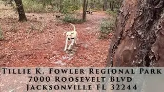 Things to do in Jacksonville Florida Year Round Tillie Fowler Park