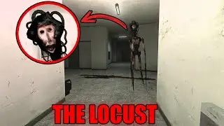 Never Meet THE LOCUST