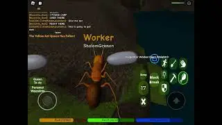 killing carp ants