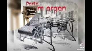 Types of Musical Organ. #musician #pipeorgan #viral