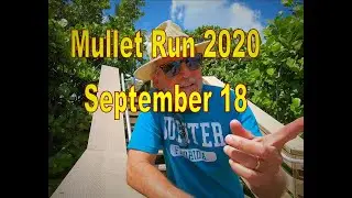 Mullet Run 2020 Sept. 18 Update