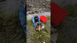 The CHEAPEST CARP FISHING Set On AMAZON vs BIG FISH!Fish, Fishing