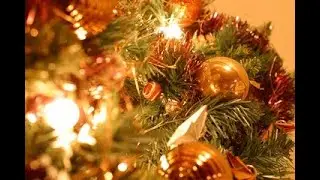 Lex Jones's Christmas Calendar: Alice in Nightmareland, By Alicia Perez, Read by Mark Allen Gunnells
