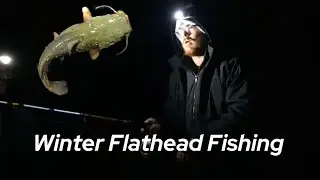 Winter Flathead Fishing in Arizona (Bartlett Lake)