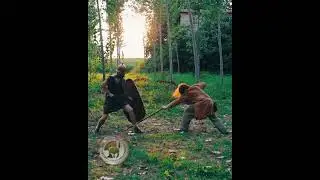 ROMAN HASTATUS vs GALLIC WARRIOR