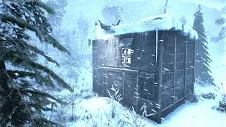 IMMENSE WINTER SIEGE: SAVAGE SNOW STORM SOUNDS and BLIZZARD AMBIENCE for Sleeping
