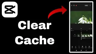 How To Clear Cache in CapCut APP