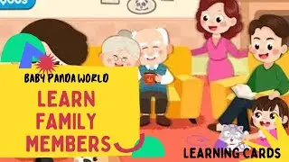 Learn Family Members l Baby Panda World l Learning Cards Gameplay Walkthrough l BabyBus games