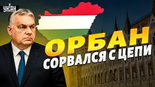 Выборы у Орбана РУХНУЛИ! Москва не спасла &mdash; венгерский союзник Путина в настоящей ПАНИКЕ
