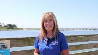 Sugarloaf Island Restoration Project Update - Fall 2025