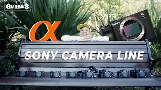 Какая беззеркальная камера лучше всего вам подойдет? | Линейка Sony Alpha 2020