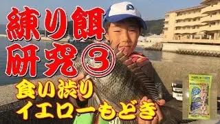 練り餌研究 チヌ釣り用練り餌（第3回）