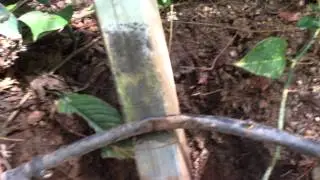 Protecting steel posts from corrosion