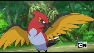 Pokemon: Fletchinder vs Weepinbell