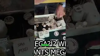 Coin Shop Talk, The Epic Kilo Giveaway Story! 🪙🔥