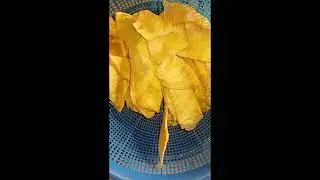 Breadfruit #goviral  #food #breadfruitrecipe #fried  