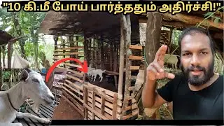 Goat house, backyard goat farming setup \ TAMIL GOAT FARMING NEW VIDEO - FARM VISITING