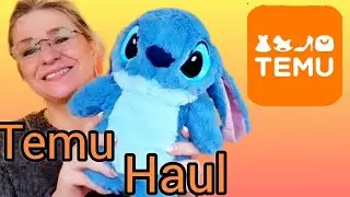 TEMU HAUL/ Organisation/Haushalt/Kleidung/Weinachtsgeschenke