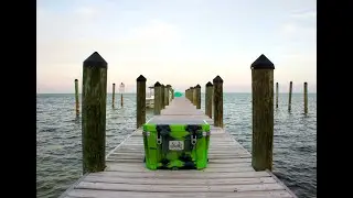 Orion Coolers After The Honeymoon