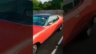 1972 Plymouth Roadrunner find !