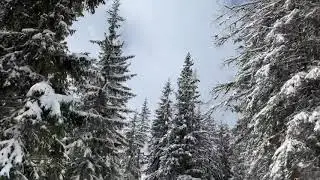 Ski Rauris 2020
