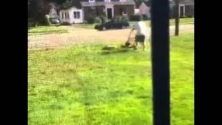 My lawn mower is a smoke ninja