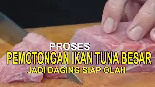Proses Pemotongan Ikan Tuna Besar Jadi daging siap Olah