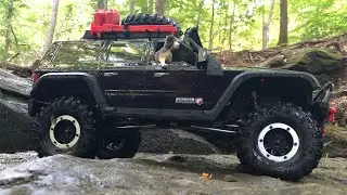 RC Cars 4x4 Forest Trail Adventure 🌲🍃/ Aventuras carro control remoto 4x4 dentro del bosque🌲🌿