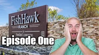 What's Going On In FishHawk?
