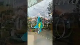 This is  unique shop #dog #dogs #design #puppies #shopping #shop