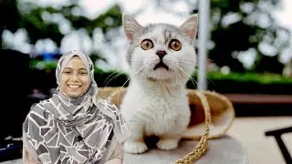 Sejarah dan Kontroversi Munchkin