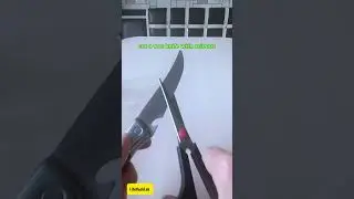 How To Sharpen Scissors Like a Pro at Home ✂️