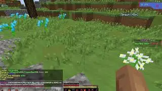 Kick and Killer - VeltHCF
