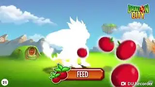 Dragon city Commercial