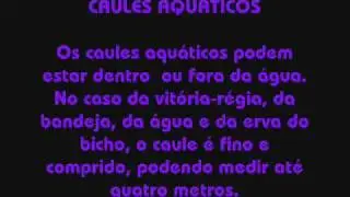 Caules