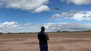 WING FX-61