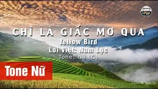 Karaoke Chỉ Là Giấc Mơ Qua, Yellow Bird | Tone Nữ (C)