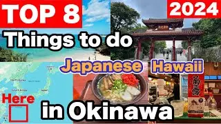 Top 8 Things to Do in Okinawa | JAPAN UPDATED | Japanese Government Announced | Travel Guide