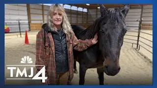 Woman reports suspected abuse, leading to rescue of 46 animals in Wisconsin
