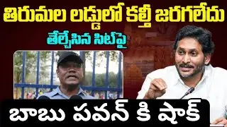 No Animal Fats in Tirumala Laddu? | YS Jagan Fires Back | AP Public Talk | Pawan Kalyan | YCP vs TDP