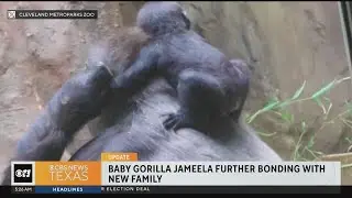 Baby Jameela continuing to bond with surrogate mother in Cleveland