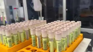 Diagnostic Tube Prep with Sorting & Depcapping into Hamilton 24 position Tube Carrier racks