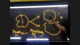 Reproduction In Organisms Chapter 1 Class 12 Part I Life Spane