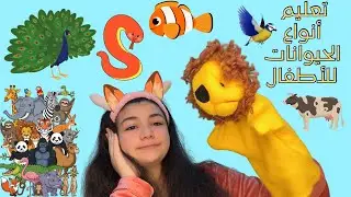أنواع الحيوانات للأطفال الرضع | تعليم ممتع مع عرائس الدمى 🐶🐘🐱