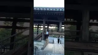 【Free & Quiet】Kyoto Local Reveals a Secret Temple (Free & Crowd-Free) Empty JAPAN Myoshinji Temple
