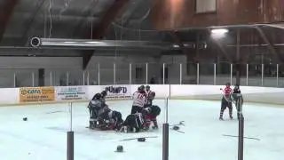 Hockey ref punches player, trainer punches ref